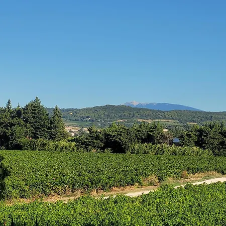 Domaine Du Pere Anatole Valréas